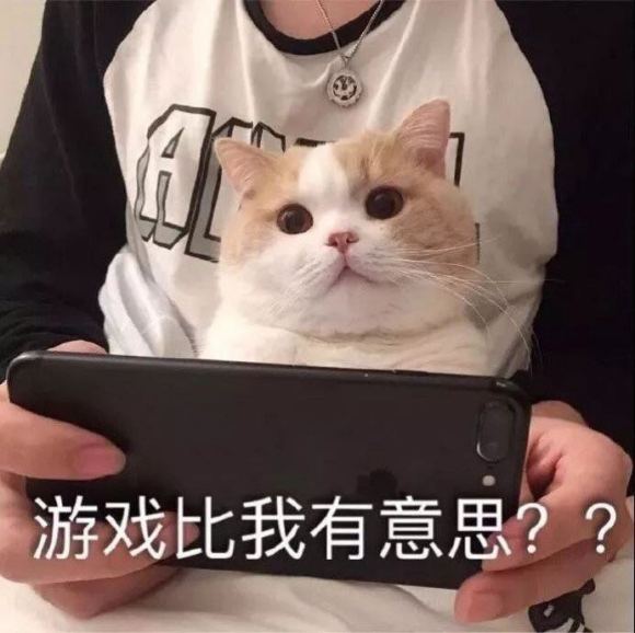 知错不改微信聊天表情包