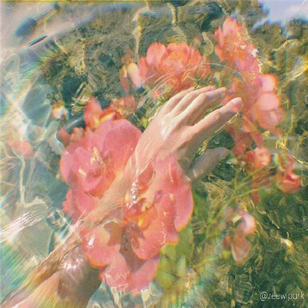 一眼就让人很喜欢的微信朋友圈背景