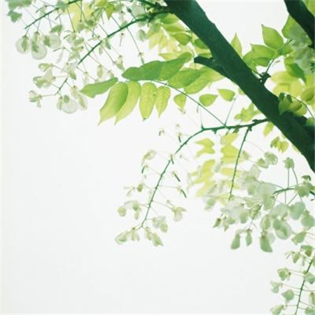 有意境唯美简单干净的风景微信朋友圈聊天背景图