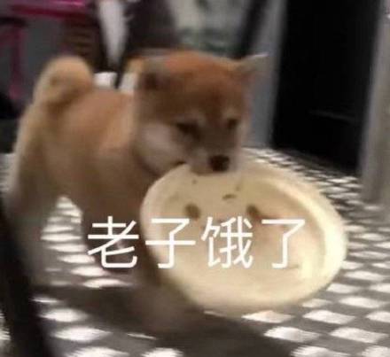 微信近期斗图恶搞表情包2020/9/25