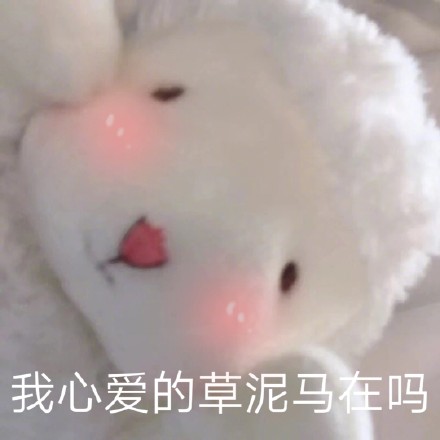 可爱小羊表情包