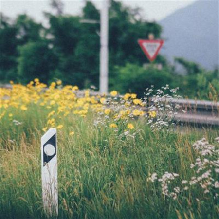 有意境唯美简单干净的风景微信朋友圈聊天背景图