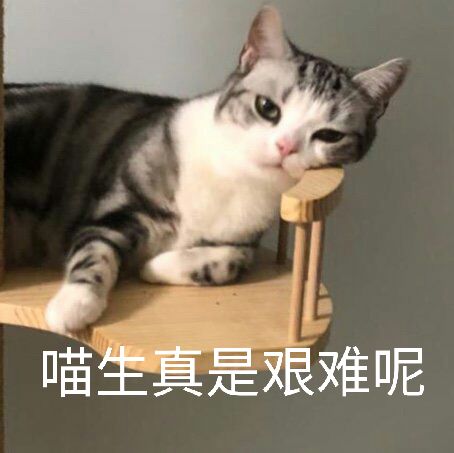 微信近期斗图恶搞表情包2020/9/25