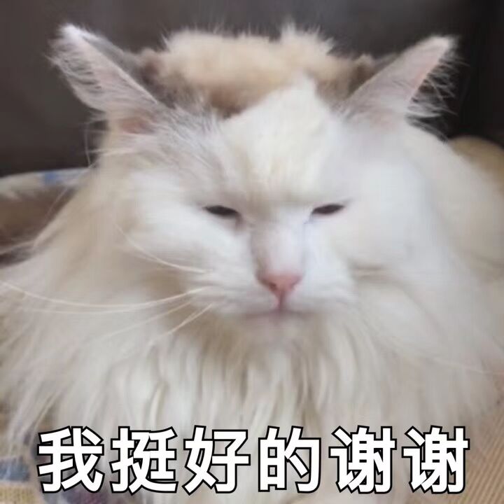 微信近期斗图恶搞表情包2020/9/25