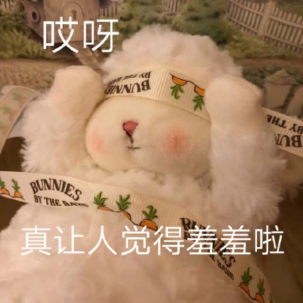 可爱小羊表情包