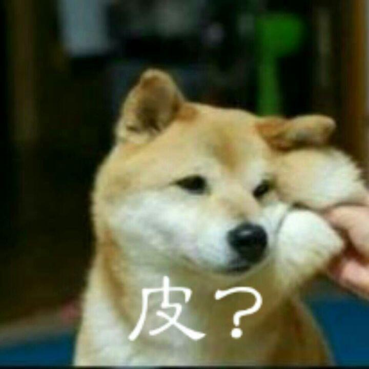 微信近期斗图恶搞表情包2020/9/25