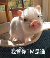 微信近期斗图恶搞表情包2020/9/25