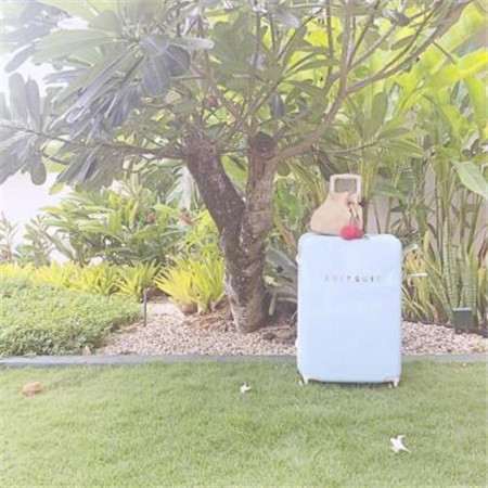 有意境唯美简单干净的风景微信朋友圈聊天背景图