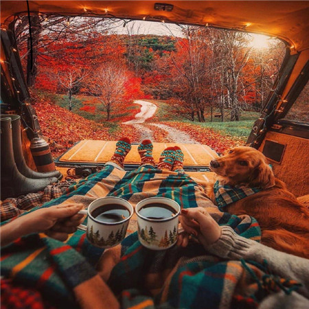 秋意渐浓的枫叶唯美微信朋友圈配图