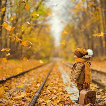 秋意渐浓的枫叶唯美微信朋友圈配图