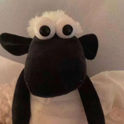 最新可爱萌宠个性微信头像