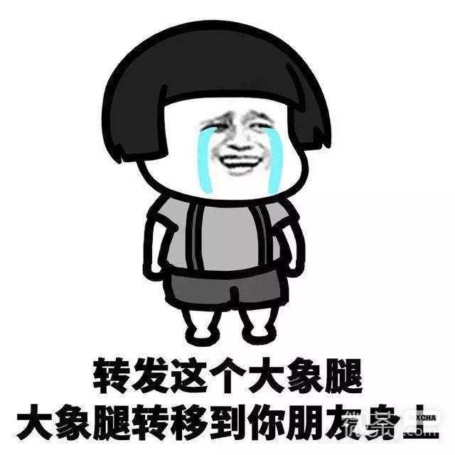 转发系列恶搞怼人微信表情包