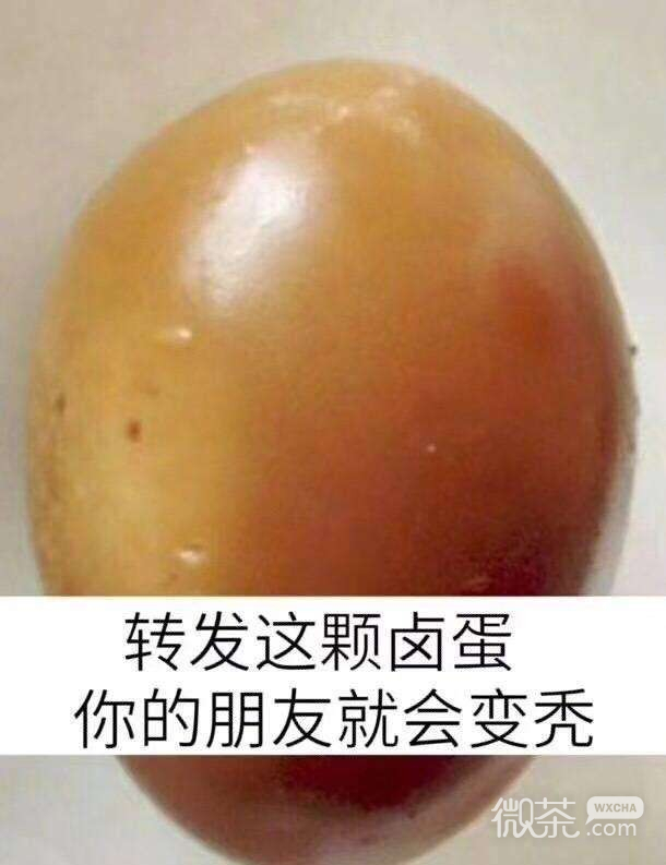 转发系列恶搞怼人微信表情包