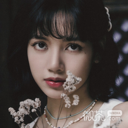 火遍网络的lisa好看的微信朋友圈背景图