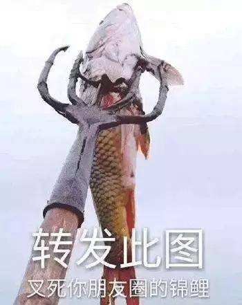 转发系列恶搞怼人微信表情包