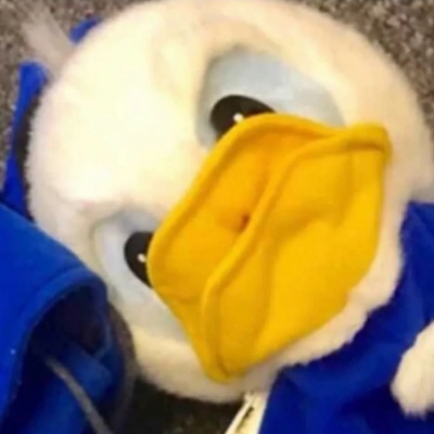 最新可爱萌宠个性微信头像