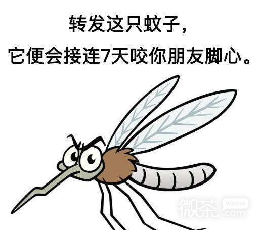 转发系列恶搞怼人微信表情包