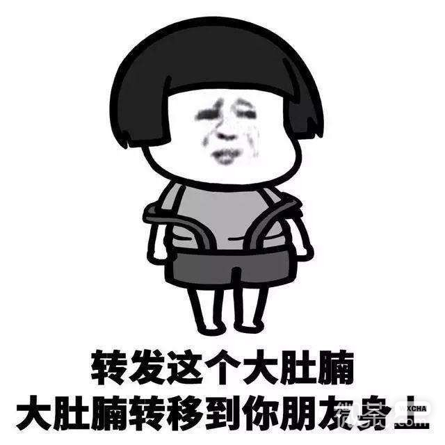 转发系列恶搞怼人微信表情包
