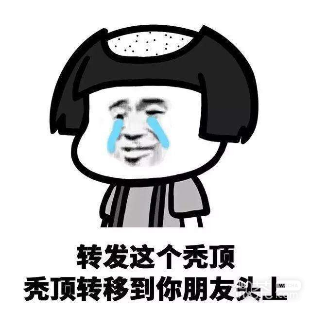 转发系列恶搞怼人微信表情包