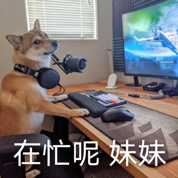 偷偷摸摸微信聊天表情包