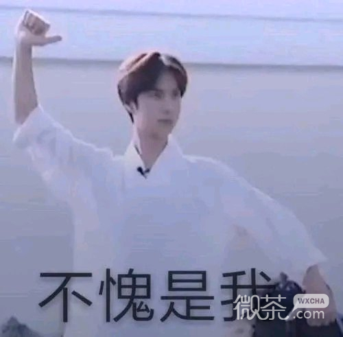 微信近期斗图恶搞表情包2020/9/28（二）