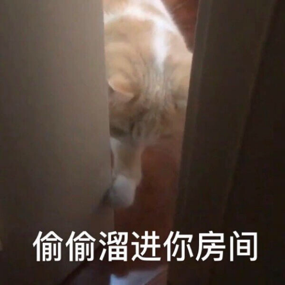 偷偷摸摸微信聊天表情包