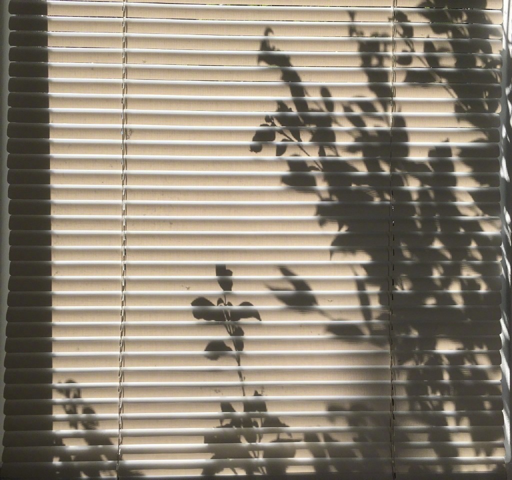 伤感忧伤唯美光影微信聊天背景图