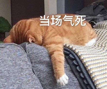 偷偷摸摸微信聊天表情包