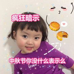 月饼相关萌娃熊猫头的微信表情包