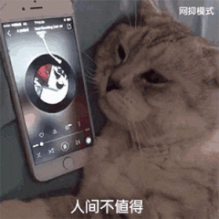 偷偷摸摸微信聊天表情包