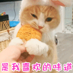 月饼相关萌娃熊猫头的微信表情包