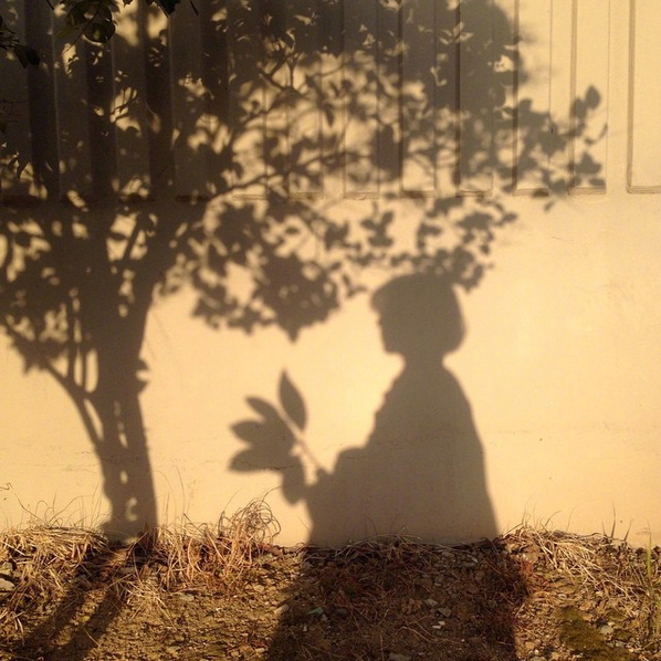 伤感忧伤唯美光影微信聊天背景图