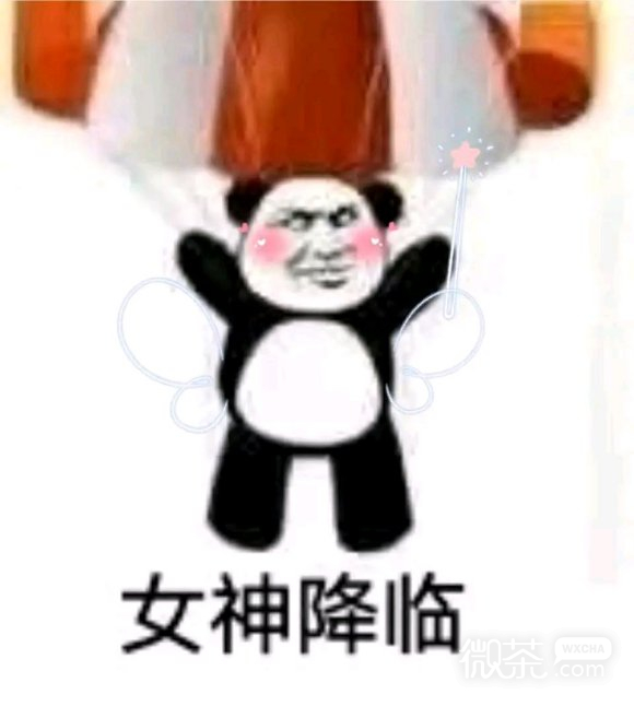 微信丢人聊天表情包