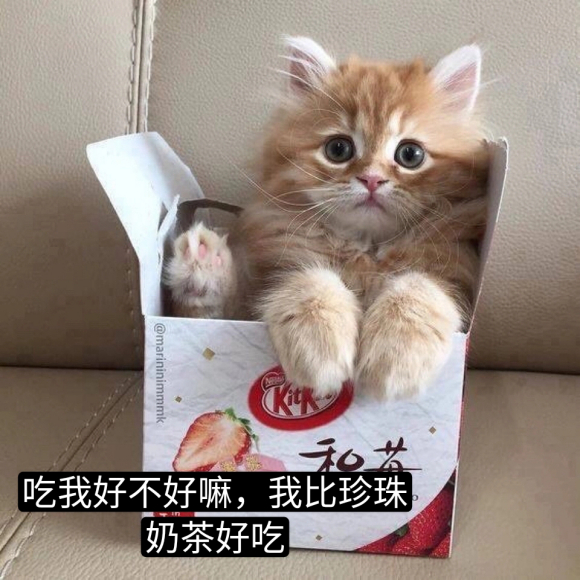 微信近期斗图恶搞表情2020/9/29(二)