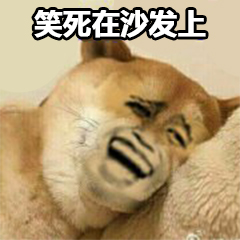 微信近期斗图恶搞表情包2020/9/29