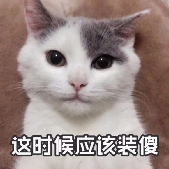 震惊微信聊天表情包