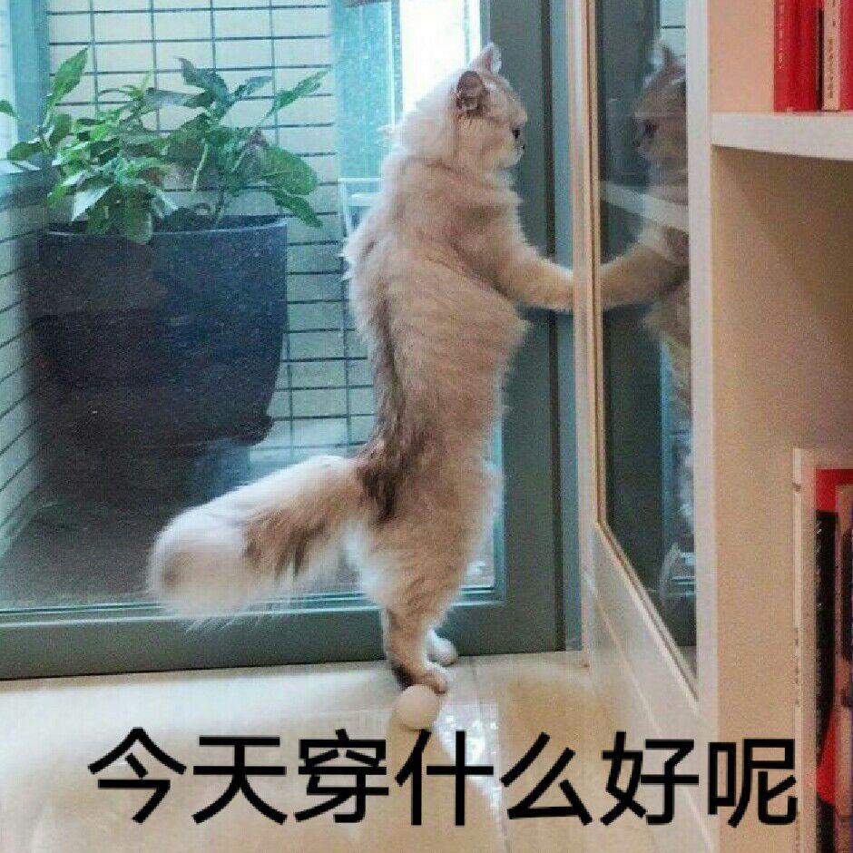 微信近期斗图恶搞表情包2020/9/29