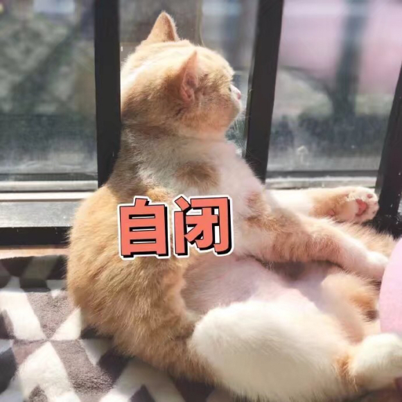 震惊微信聊天表情包