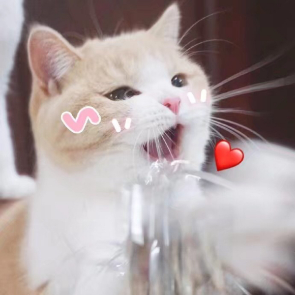 震惊微信聊天表情包