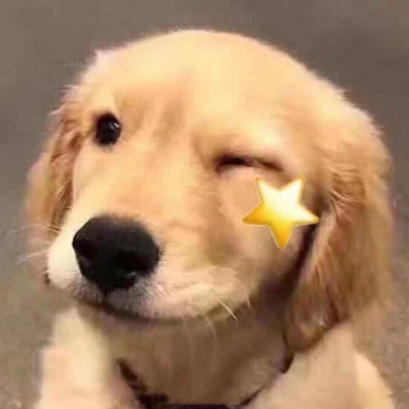 微信近期斗图恶搞表情2020/9/29（二）