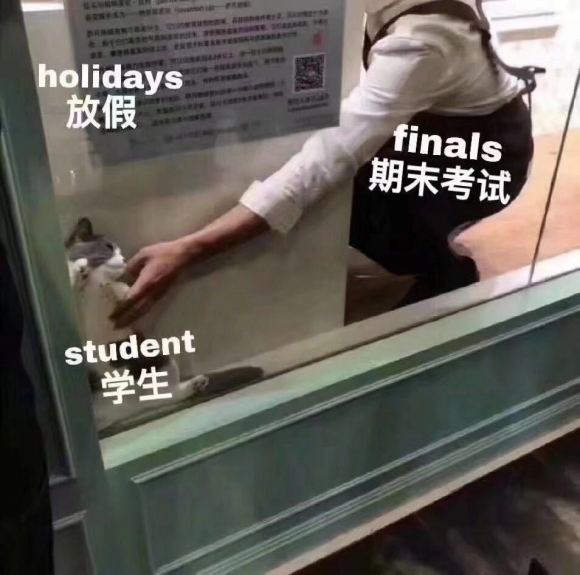 微信近期斗图恶搞表情2020/9/29(二)