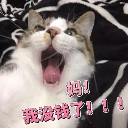 震惊微信聊天表情包