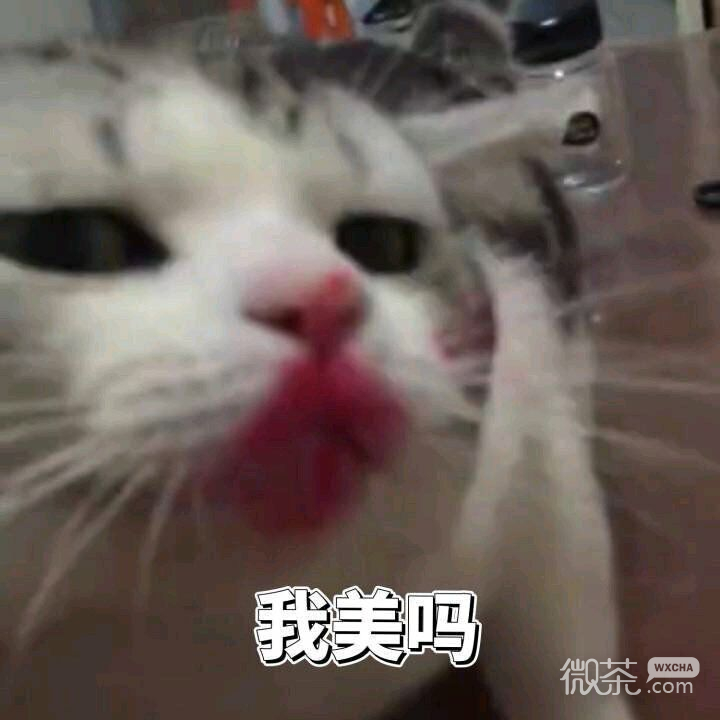 微信近期斗图恶搞表情包2020/9/29