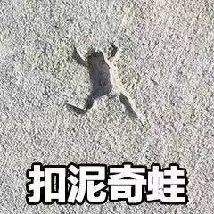 微信近期斗图恶搞表情包2020/9/29