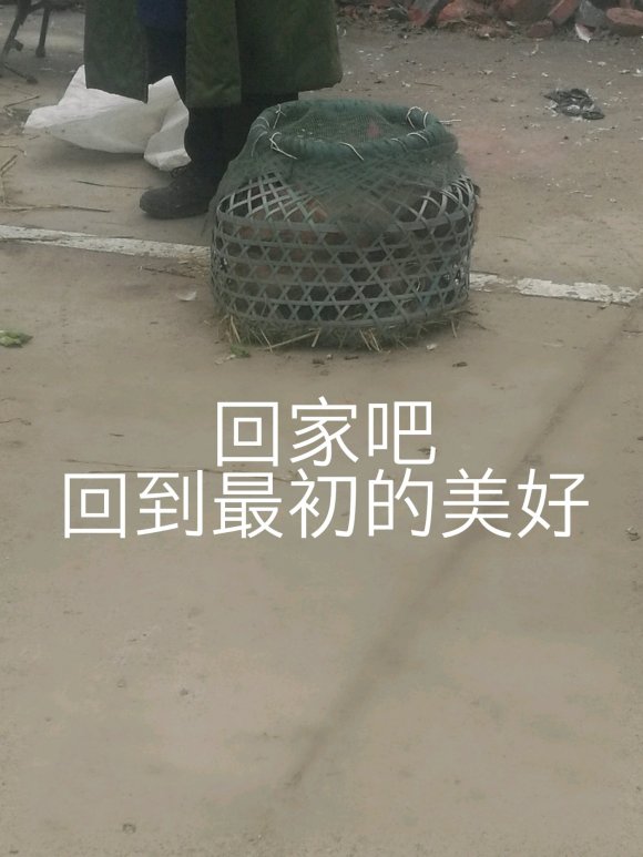 微信丢人聊天表情包