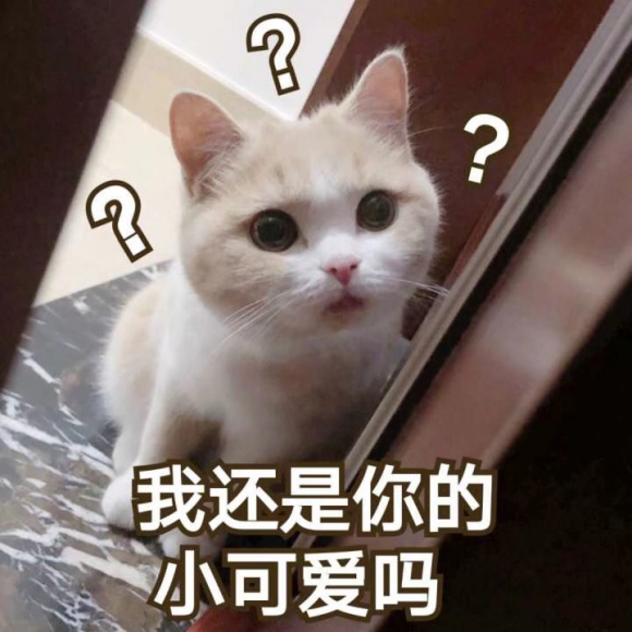 震惊微信聊天表情包