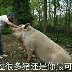 微信心如死灰表情包