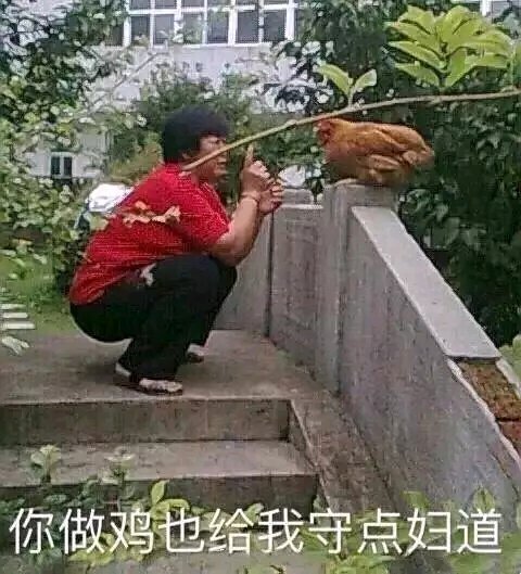 微信丢人聊天表情包