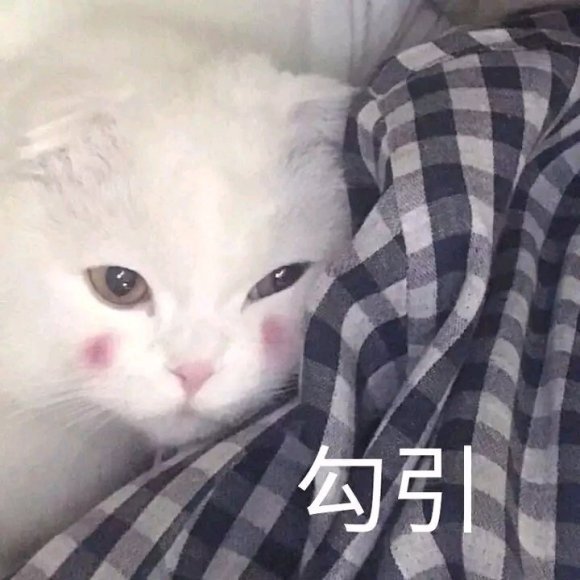 微信丢人聊天表情包