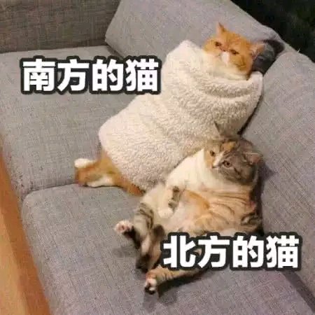 微信心如死灰表情包